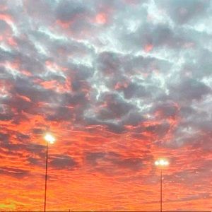 Meet your Posher, Jaycee